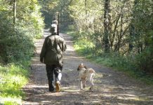 Un cane spara nel sedere del cacciatore